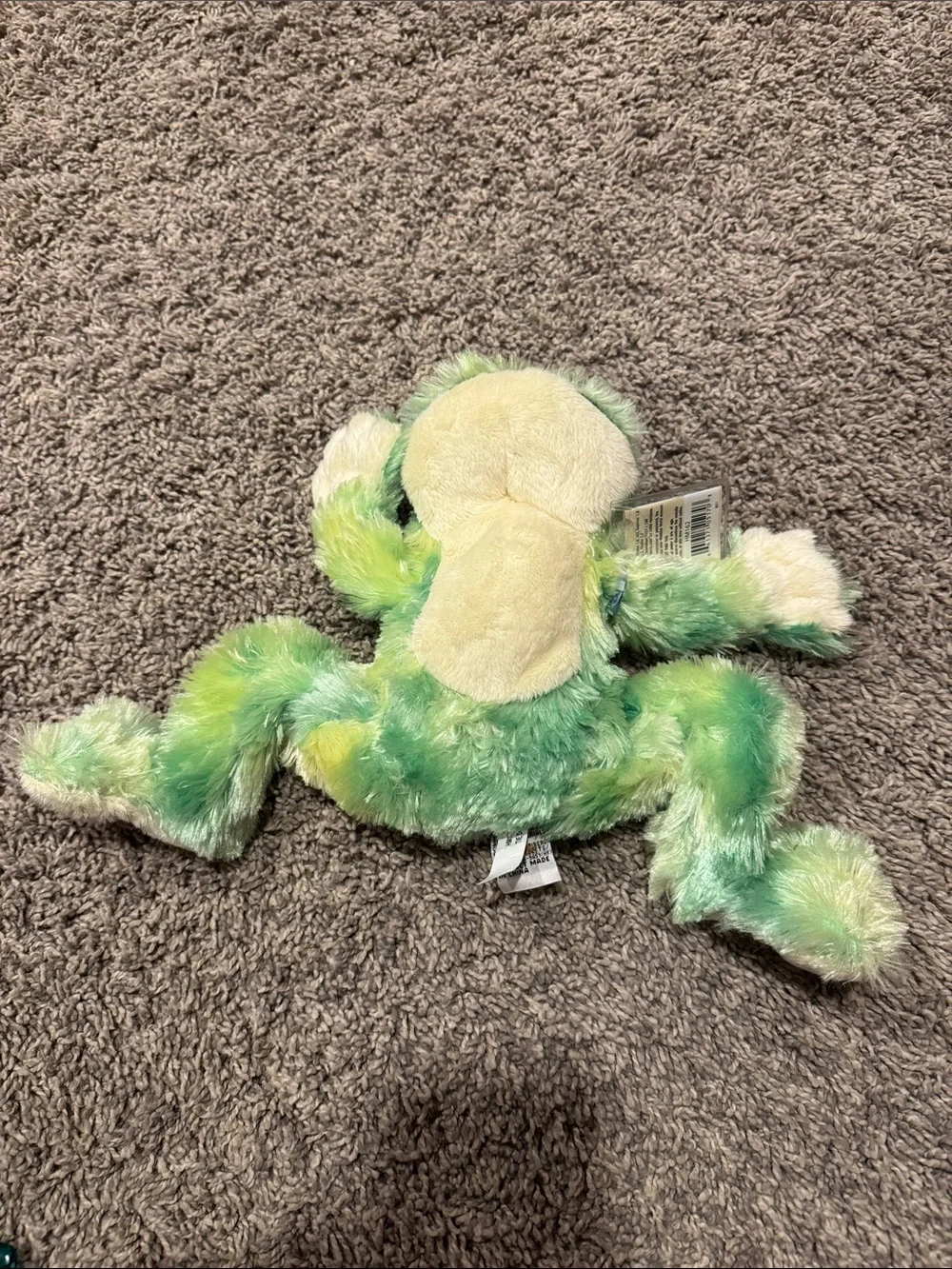 Plush Green Frog Small Pet Toy - No Brand Listed